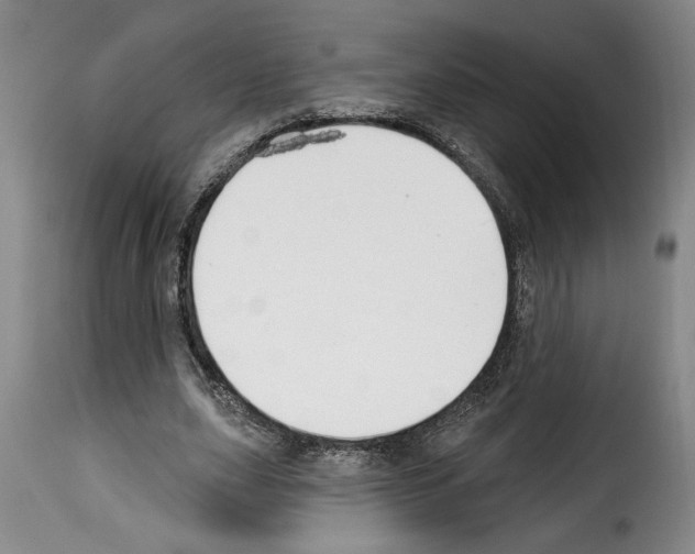 X0000114210631200911201023