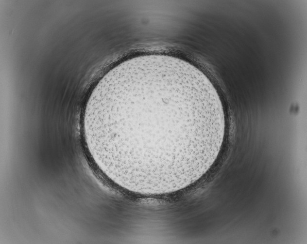 X0000114210633200911201023