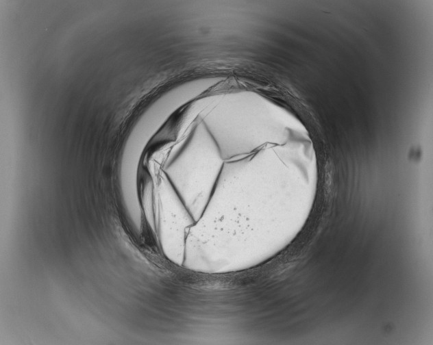 X0000114210637200911201023