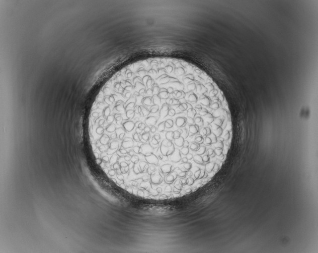 X0000114210638200911201023