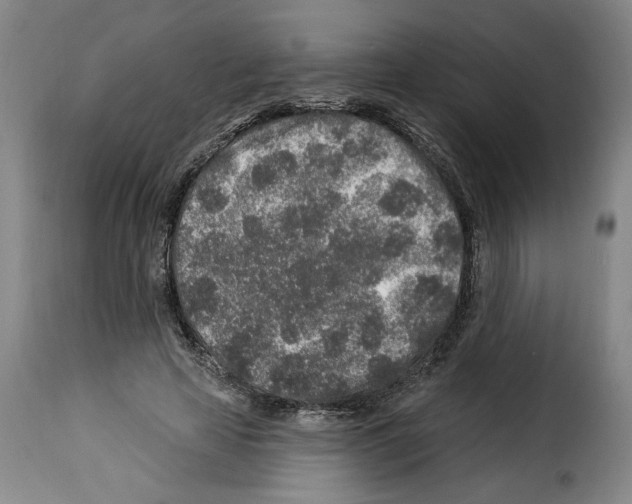 X0000114210641200911201023