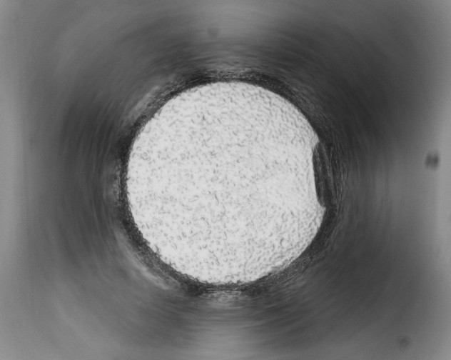 X0000114210642200911201023