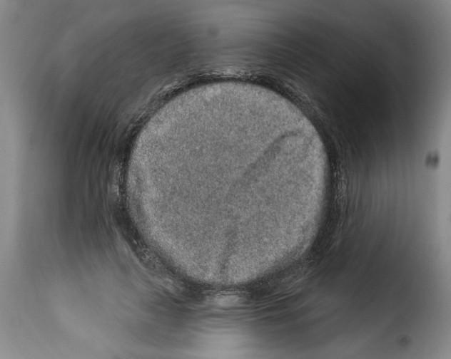 X0000114210643200911201023