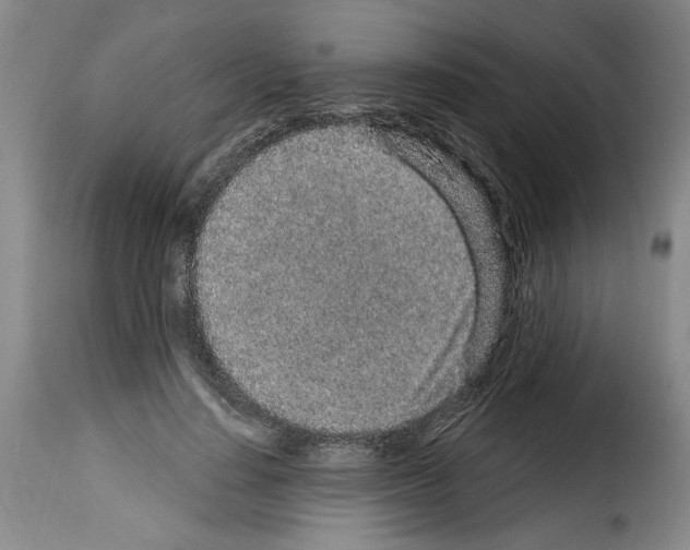 X0000114210644200911201023