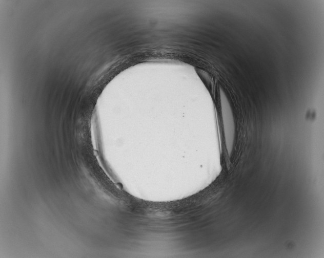 X0000114210648200911201023