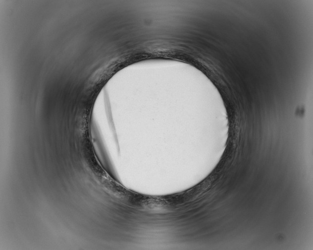 X0000114210652200911201023