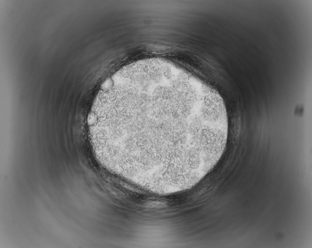 X0000114210653200911201023