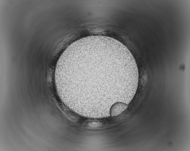 X0000114210658200911201023