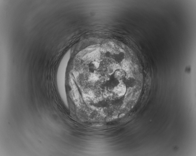 X0000114210659200911201023