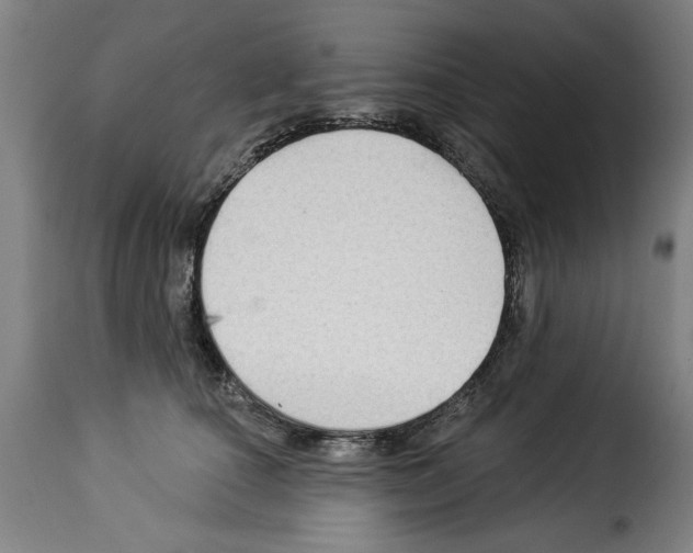X0000114210660200911201023