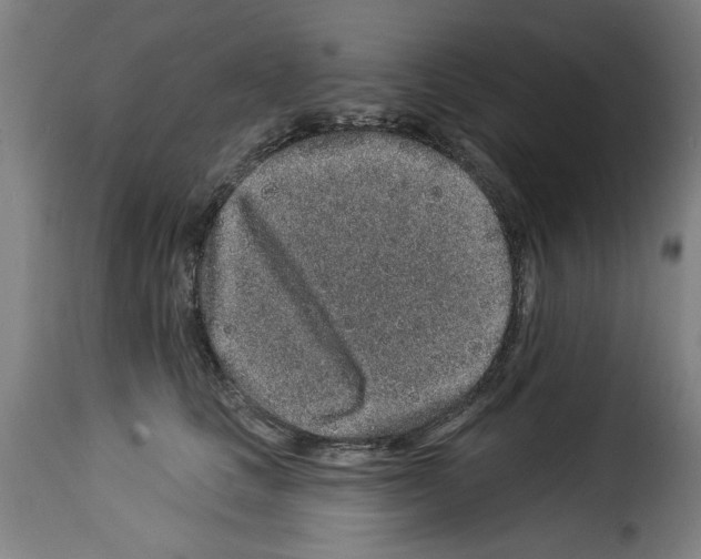 X0000114210661200911201023