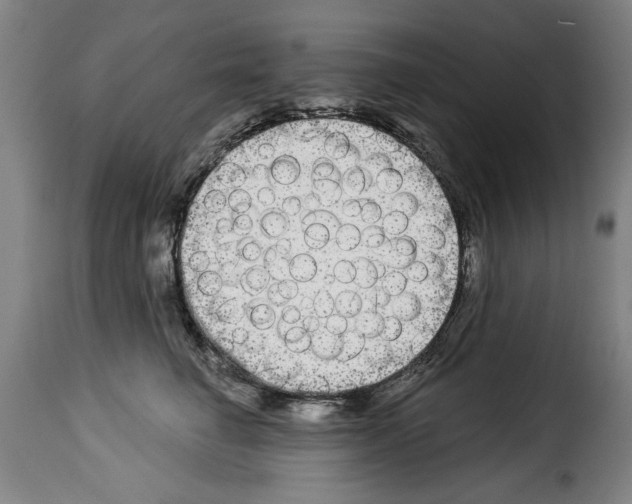 X0000114210662200911201023
