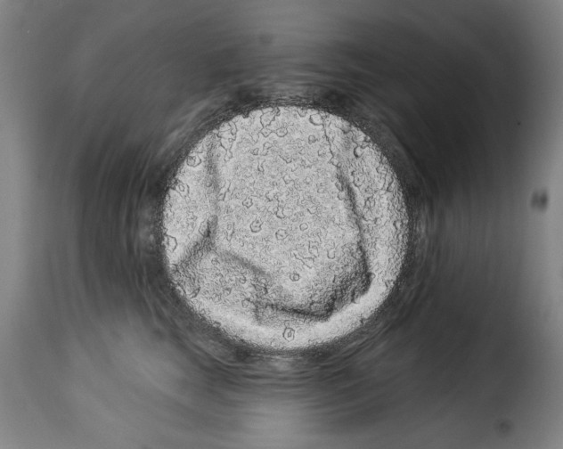 X0000114210663200911201023