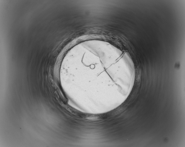 X0000114210669200911201024