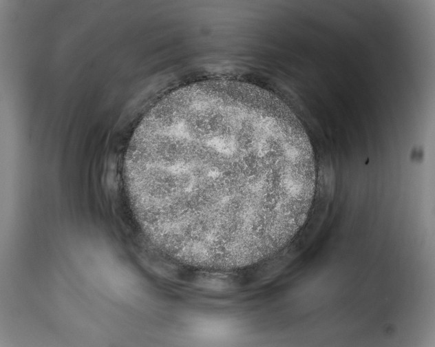 X0000114210671200911201024