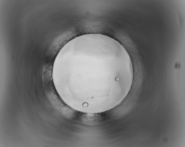 X0000114210672200911201024