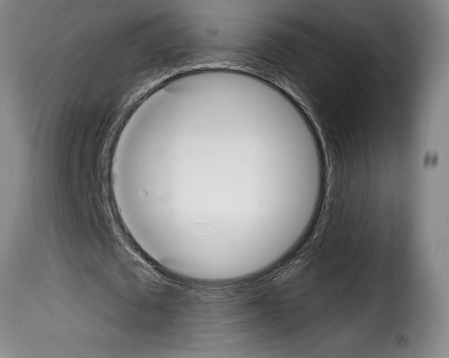 X0000114210673200911201023