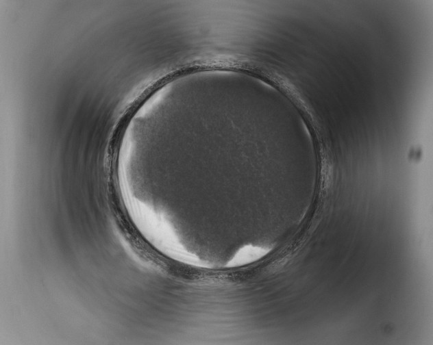 X0000114210674200911201023