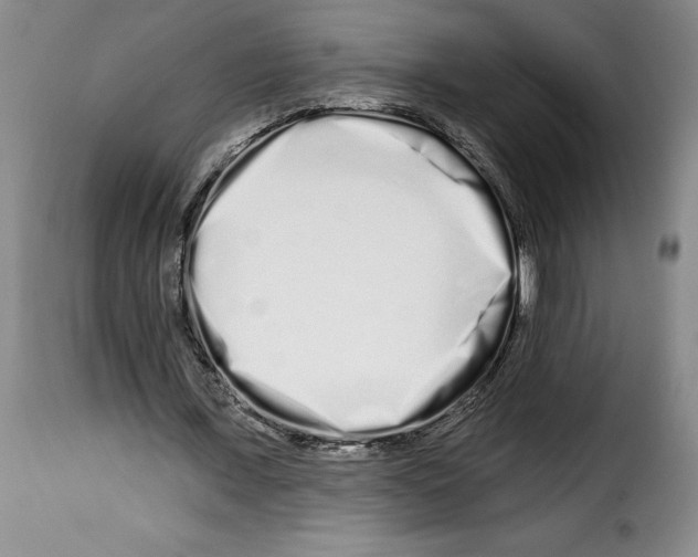 X0000114210675200911201023