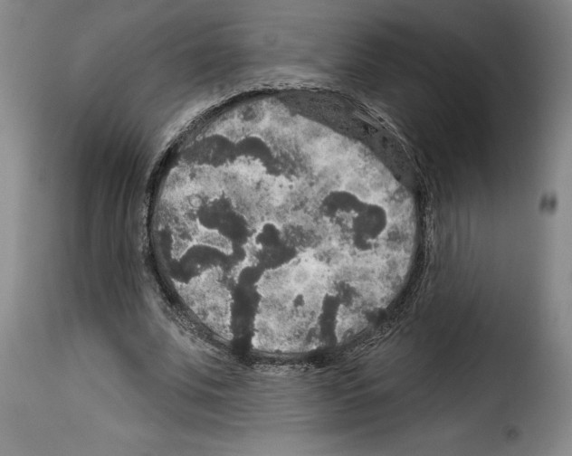 X0000114210679200911201023