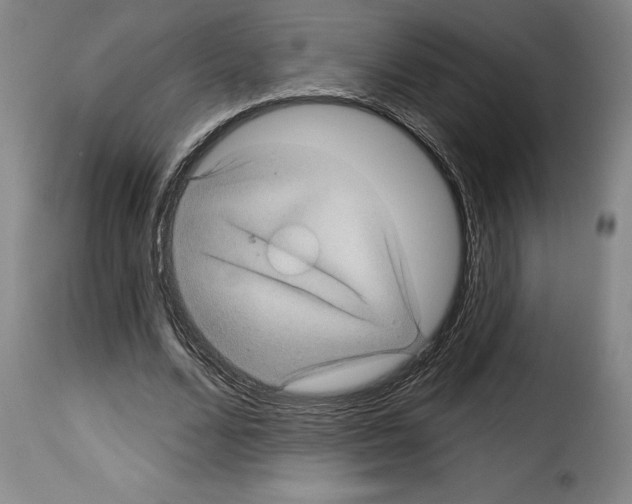 X0000114210680200911201023
