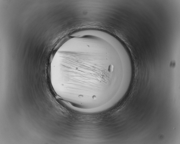 X0000114210681200911201023
