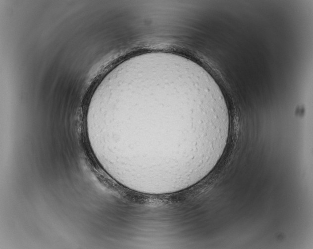X0000114210682200911201023