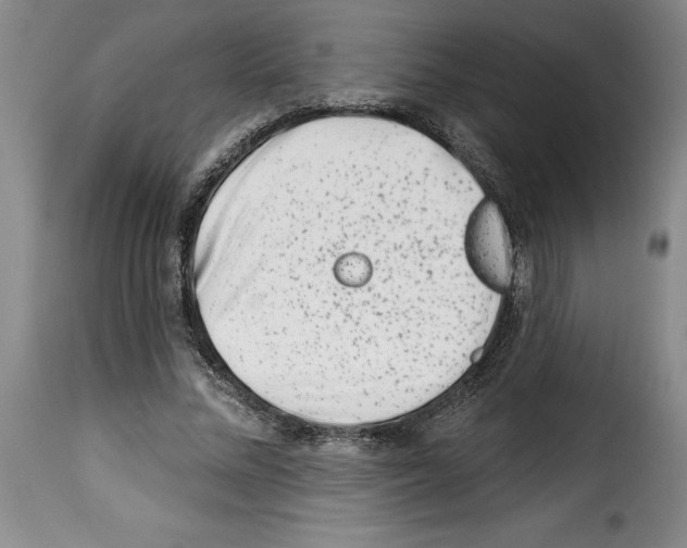 X0000114210684200911201023