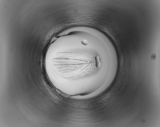 X0000114210685200911201023