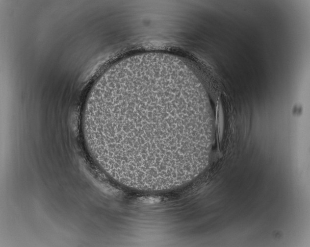X0000114210687200911201023