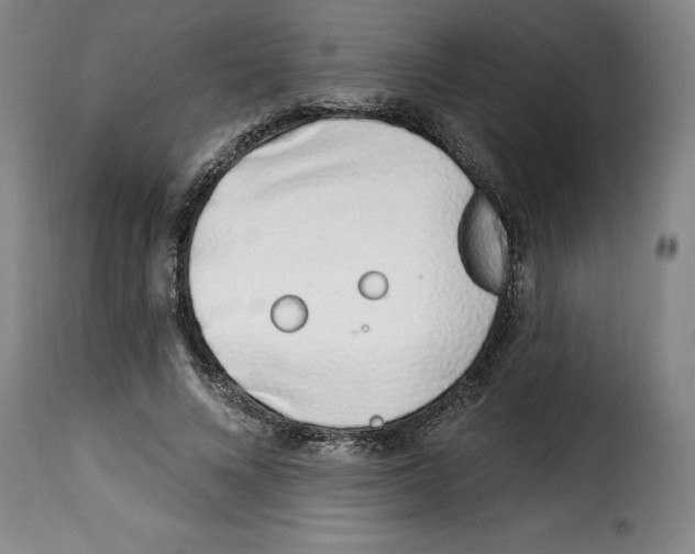 X0000114210688200911201023