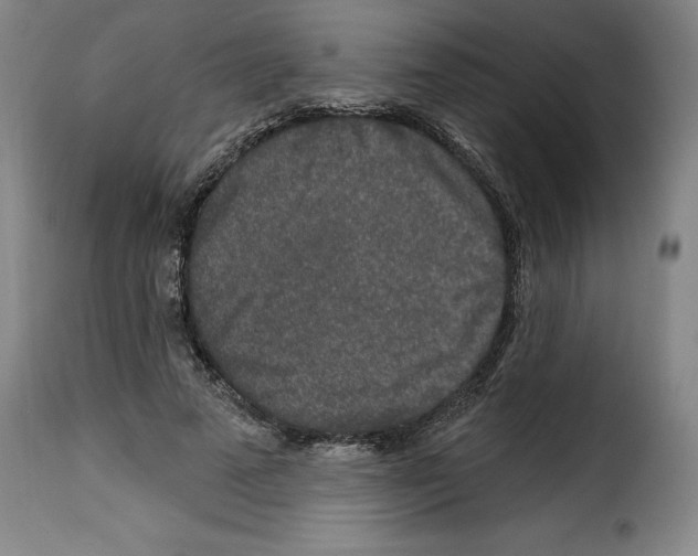 X0000114210689200911201023