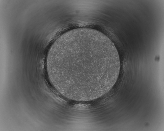 X0000114210691200911201023