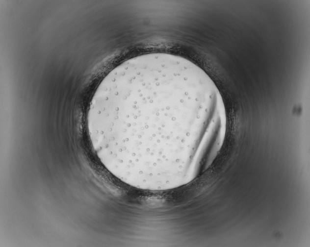 X0000114210692200911201023