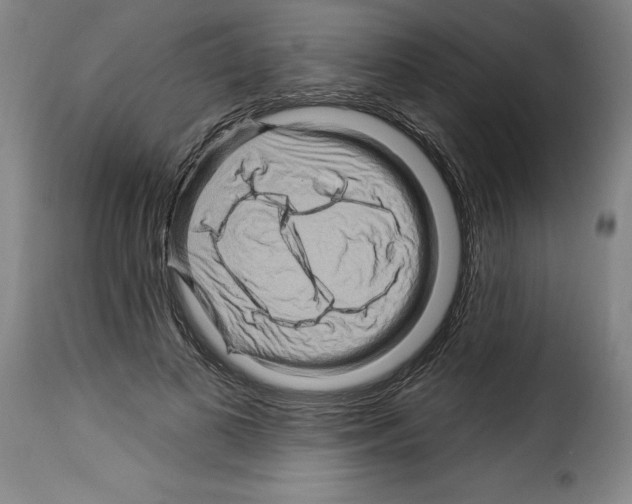 X0000114210693200911201023