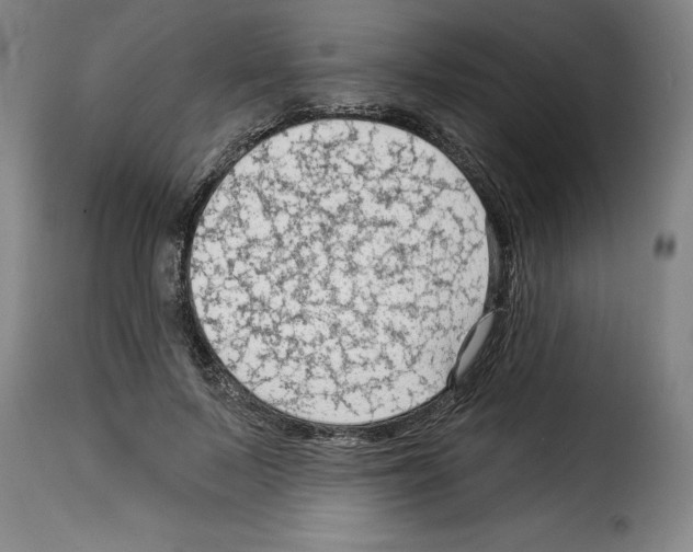 X0000114210695200911201023