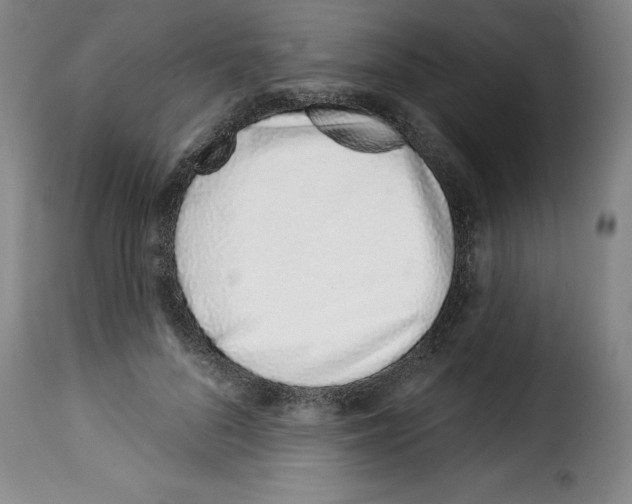 X0000114210696200911201023