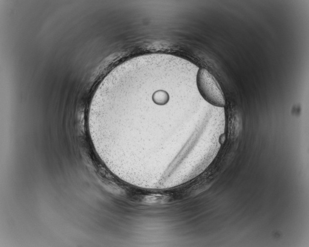 X0000114210700200911201023