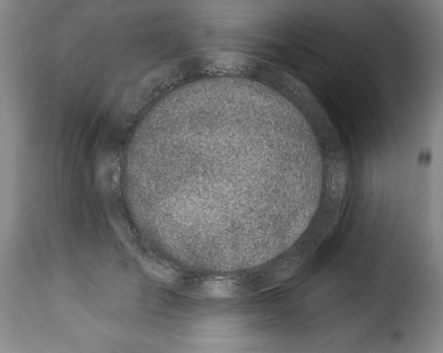 X0000114210701200911201023