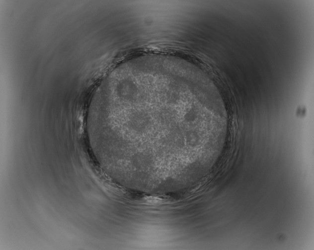 X0000114210703200911201023