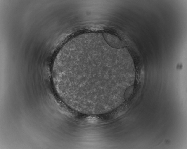 X0000114210704200911201023
