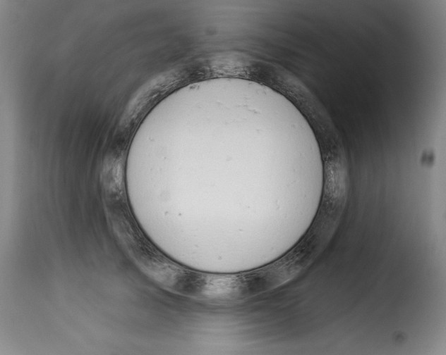 X0000114210705200911201023