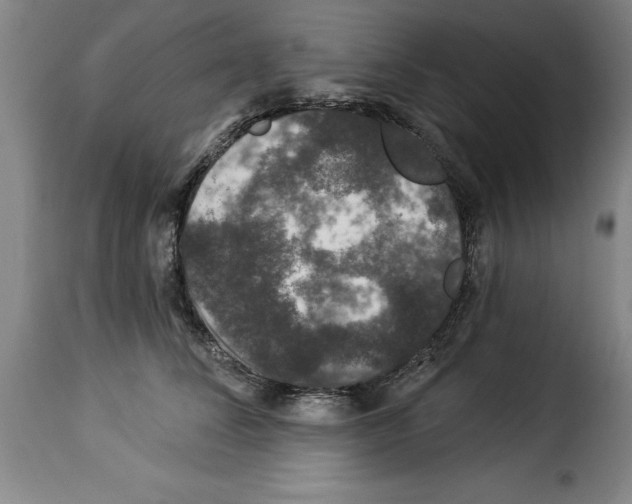 X0000114210708200911201022