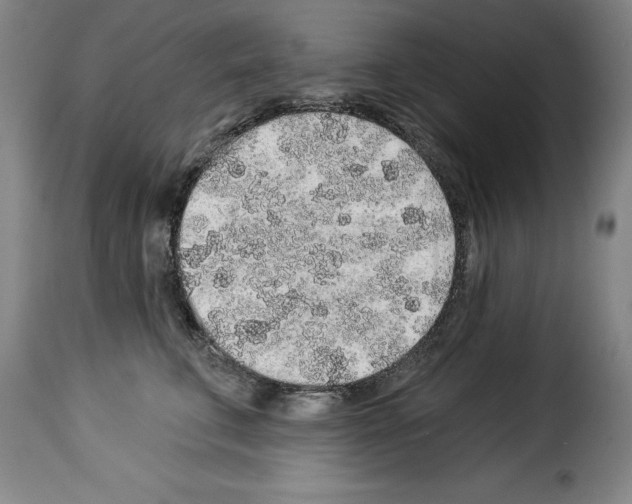 X0000114210711200911201022