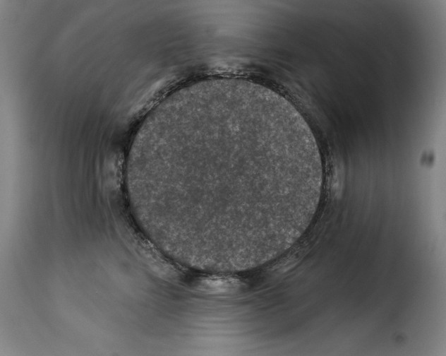 X0000114210712200911201022