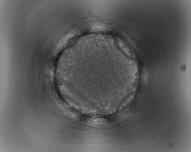 X0000114210716200911201022