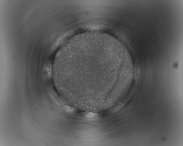 X0000114210718200911201022