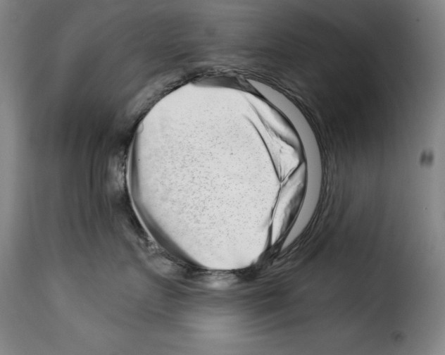X0000114210719200911201022