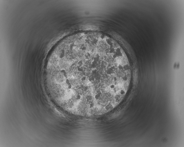X0000114210721200911201022