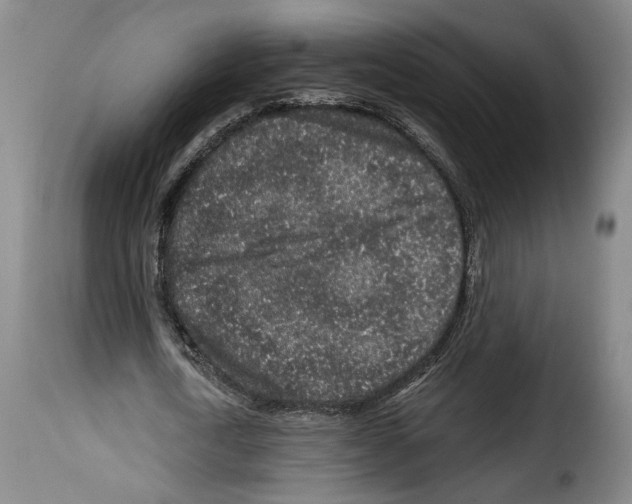 X0000114210722200911201022